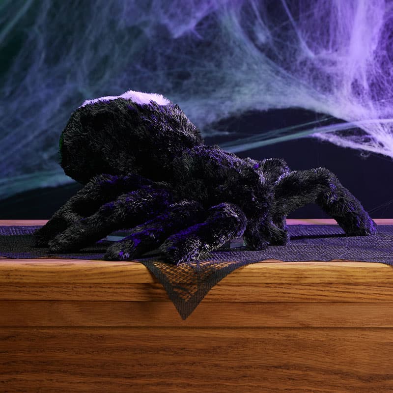 Cracker Barrel Black and Purple Spider Medium Plush