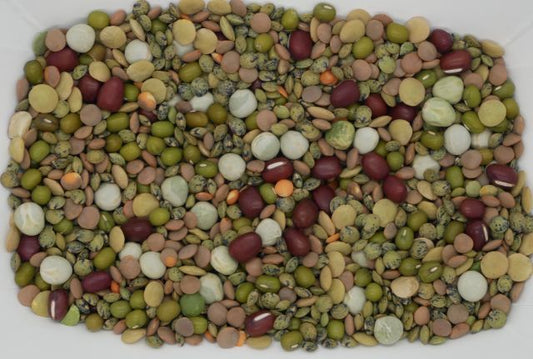 Sun Organic Farm Organic Bean Mix, for Sprouting