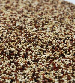 Sun Organic Farm Organic Quinoa, TriColor
