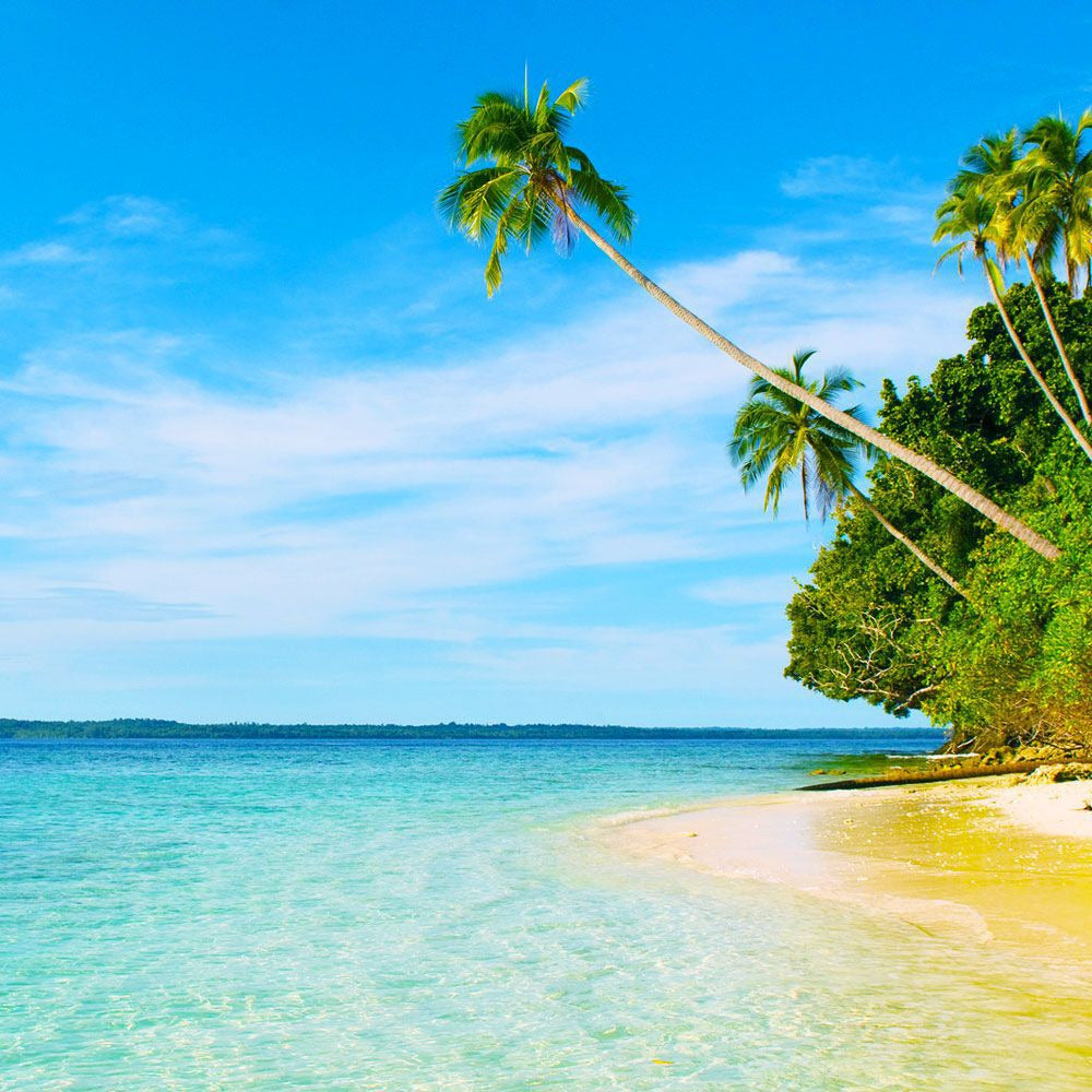 Bramble Berry Island Escape Fragrance Oil