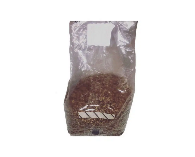 HTG Supply Detroit Nutrient Company Sterilized Rye Grain Bag – 2 lb