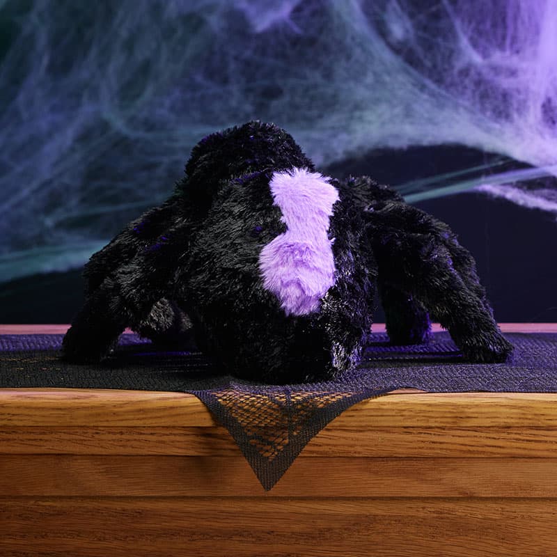 Cracker Barrel Black and Purple Spider Medium Plush