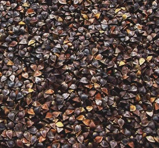 Sun Organic Farm Organic Buckwheat, Whole Kernel (Unhulled)