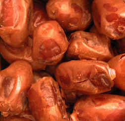 Sun Organic Farm Organic Khadrawi Dates