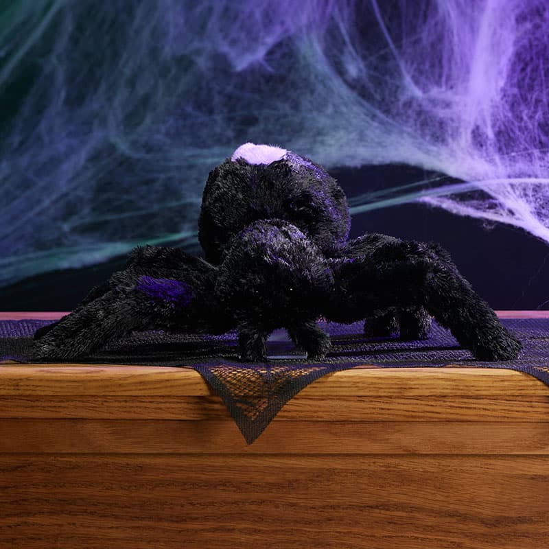 Cracker Barrel Black and Purple Spider Medium Plush