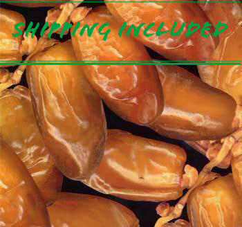 Sun Organic Farm Organic Deglet Noor Dates, Shipping via Priority Mail Included