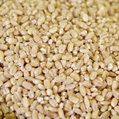 Sun Organic Farm Organic Barley, Pearled