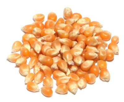 Sun Organic Farm Organic Popcorn, Yellow
