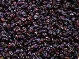 Sun Organic Farm Organic Currants, Black Zante