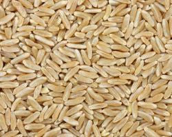 Sun Organic Farm Organic Kamut, Whole Grain - BACK IN STOCK!