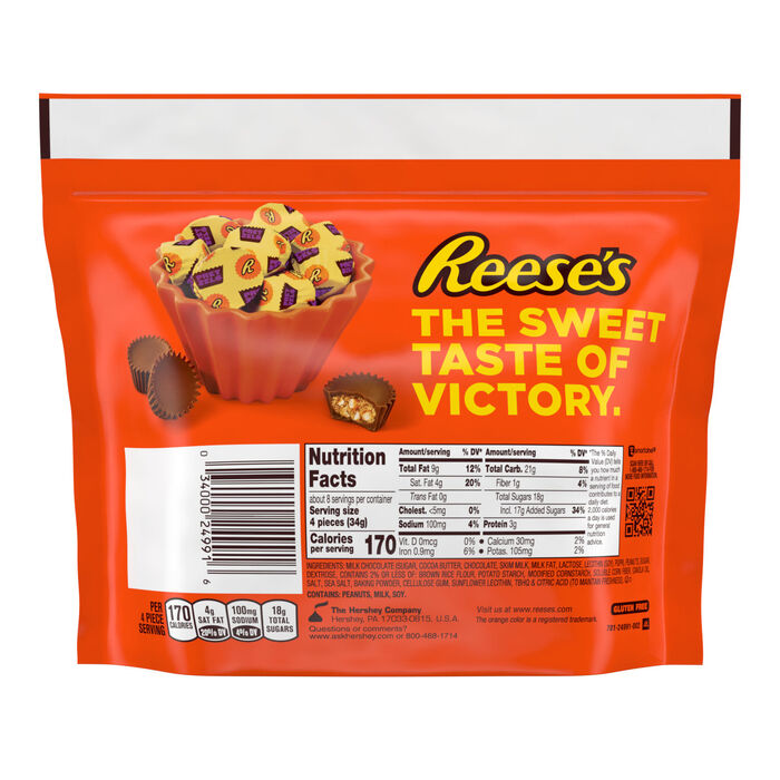 REESE'S Milk Chocolate Peanut Butter Cups with Pretzels Miniatures 9.9oz Candy Bag