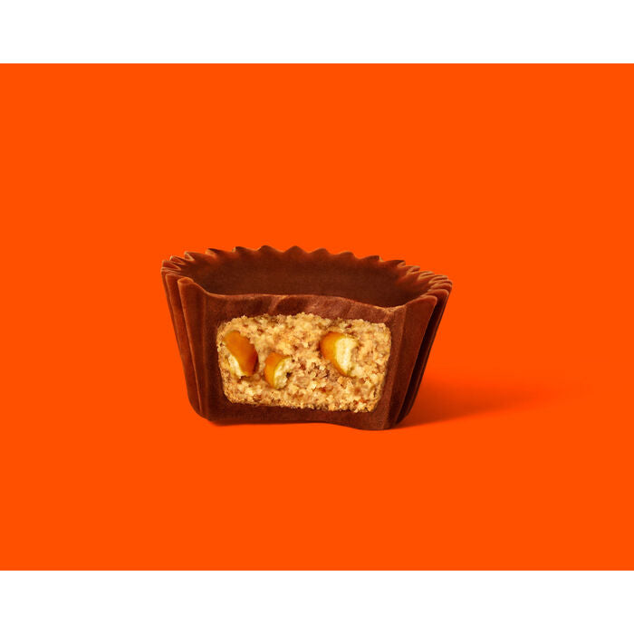 REESE'S Milk Chocolate Peanut Butter Cups with Pretzels Miniatures 9.9oz Candy Bag