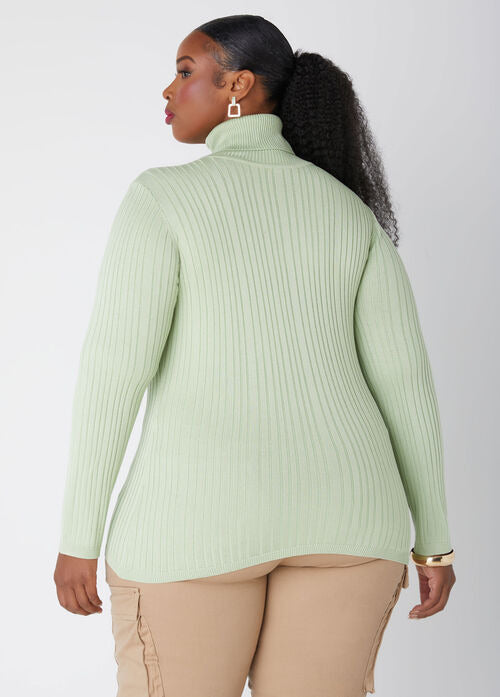 Ashley Stewart Ribbed Pullover Turtleneck Sweater (x2)