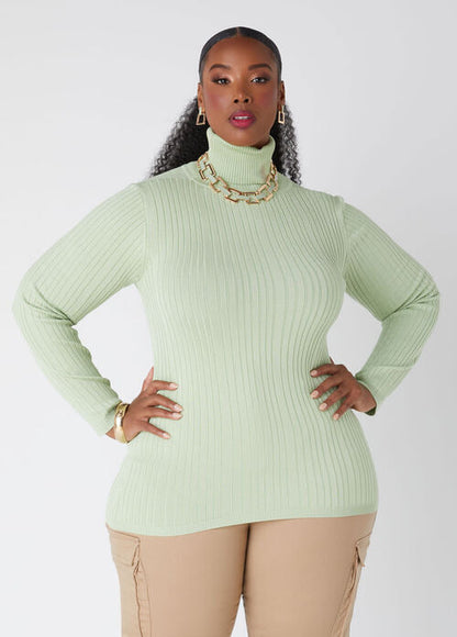 Ashley Stewart Ribbed Pullover Turtleneck Sweater (x2)