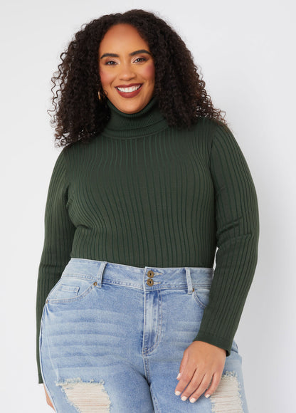 Ashley Stewart Pullover Turtleneck Sweater (x2)