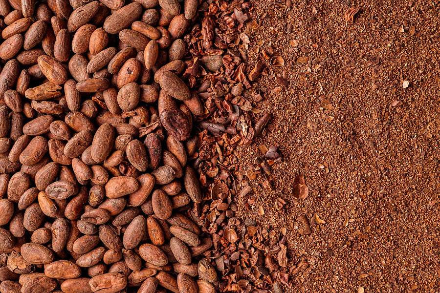Crio Bru Ghana - Light Roast