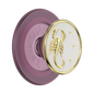 PopSockets Enamel Scorpio PopGrip for MagSafe