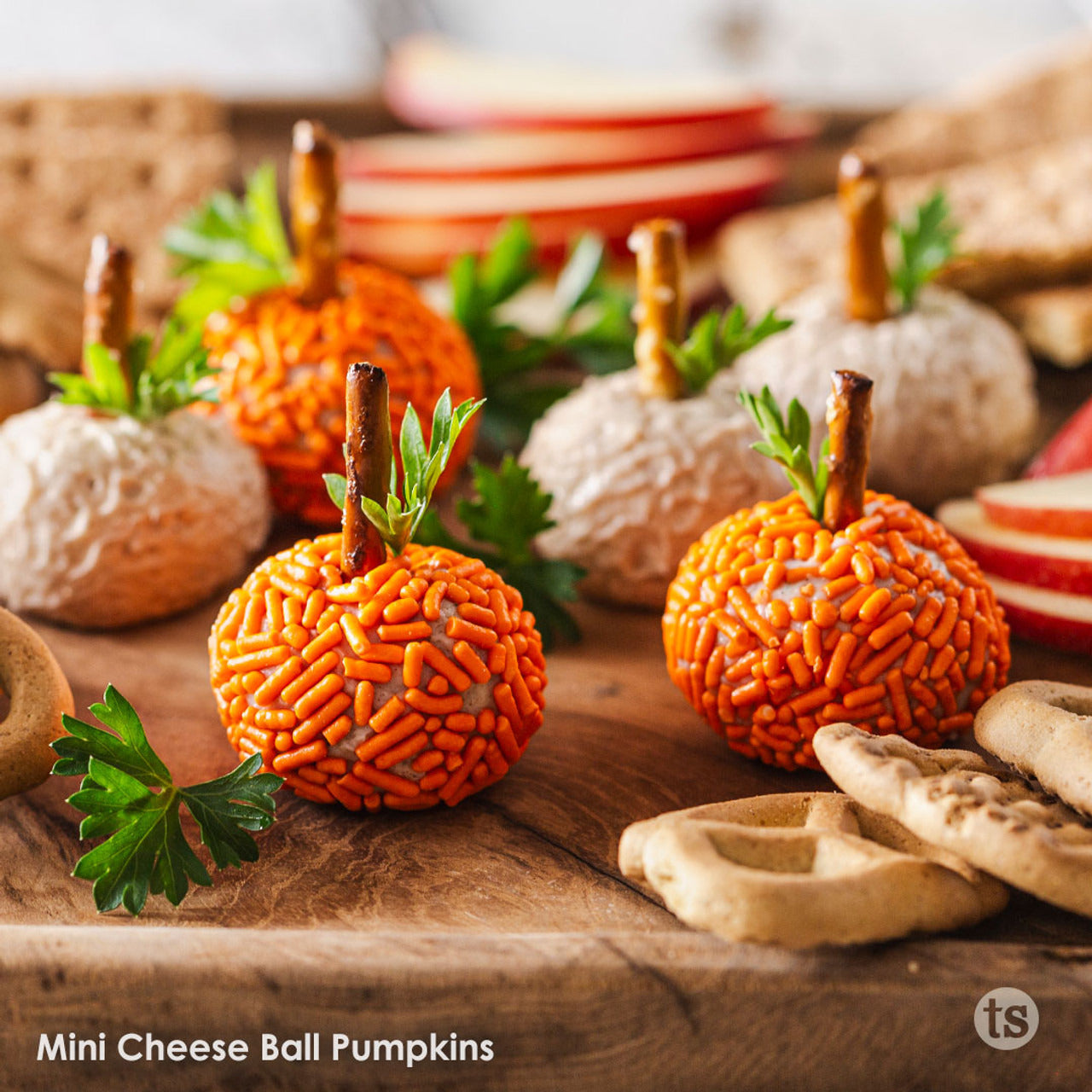 Tastefully Simple Pumpkin Spice Cheese Ball Mix