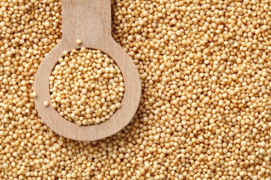 Sun Organic Farm Organic Amaranth