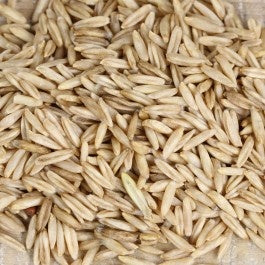 Sun Organic Farm Organic Oats, Hulless - Cook or Sprout