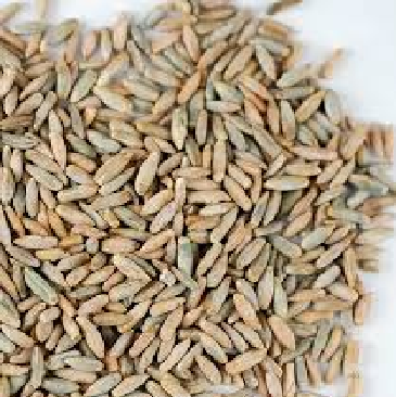 Sun Organic Farm Organic Rye Berries