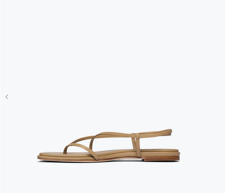 Freda Salvador Alexia Sandal