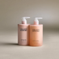 Colleen Rothschild Beauty The Cleanse & Shine Hair Duo