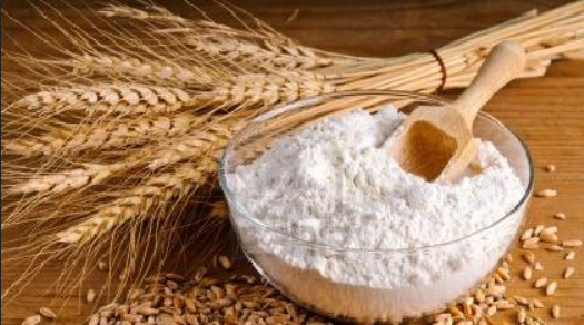 Sun Organic Farm Rye Flour - Organic - Whole Grain