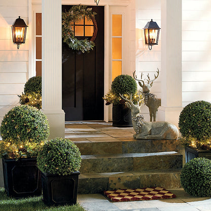 Ballard Designs Audrey Outdoor Sconce