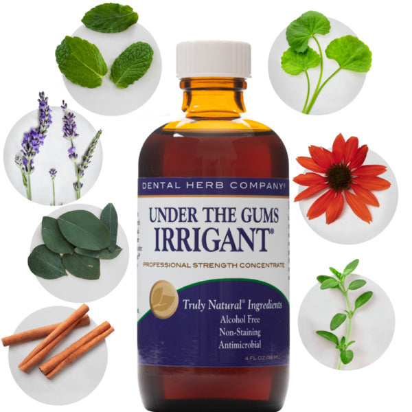 Dental Herb Under the Gums Irrigant – Solution for oral irrigators