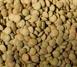 Sun Organic Farm Organic Lentils, Green