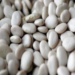 Sun Organic Farm Organic Baby Lima Beans