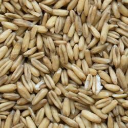 Sun Organic Farm Organic Oat Groats
