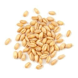 Sun Organic Farm Organic Wheat Berries, Pastry, Soft White