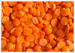 Sun Organic Farm Organic Lentils, Red Decorticated